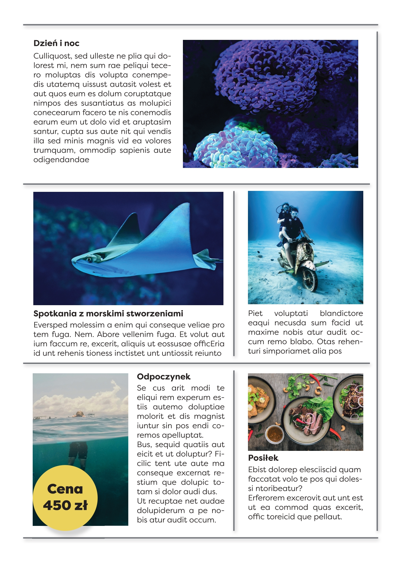 katalog